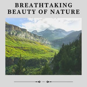 Breathtaking Beauty of Nature - Organic Nature Sounds