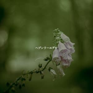 ヘブンリーエアー - Cooking Jazz