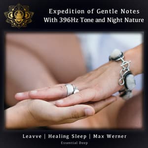 Expedition Of Gentle Notes With 396Hz Tone And Night Nature - Leavve