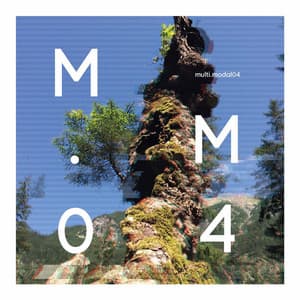 Decay - Claudia Molitor