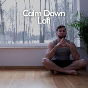 Calm Down Lofi - Work at Home Lofi