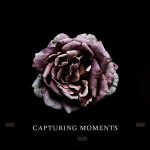 Capturing Moments - Peter Ries