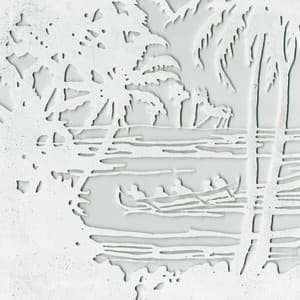 White Shadows In The South Seas - Mike Cooper