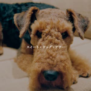 スイート・ドッグ・アワー - Jazz Relajante