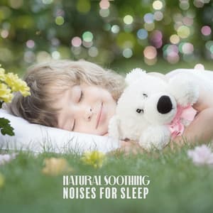 Natural Soothing Noises for Sleep: Baby Relaxation, Time for Good Calm and Dreams, Rest - Pregnancy Academy