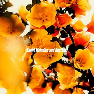 Sunlit Melodies and Rhythms - Restaurant Bossa Nova Deluxe