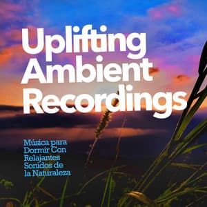 Uplifting Ambient Recordings - Música para Dormir Con Relajantes Sonidos de la Naturaleza