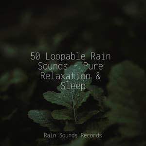50 Loopable Rain Sounds - Pure Relaxation & Sleep - Musica Para Estudiar Academy