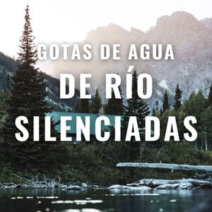Gotas De Agua De Río Silenciadas - Sonidos relajantes del agua