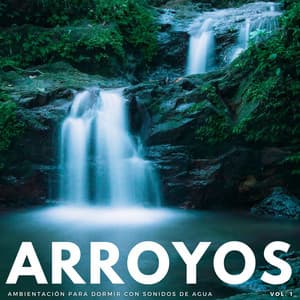 Arroyos: Ambientación Para Dormir Con Sonidos De Agua Vol. 1 - Arroyos Ventosos