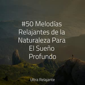 #50 Melodías Relajantes de la Naturaleza Para El Sueño Profundo - Meditar Profundamente