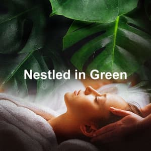Nestled in Green - Cricket Sounds