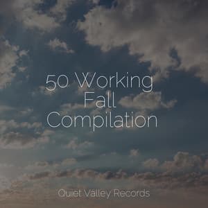 50 Working Fall Compilation - Yoga Rain