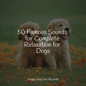 50 Famous Sounds for Complete Relaxation for Dogs - Music For Dogs