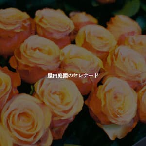 屋内庭園のセレナード - Latin Jazz Radio