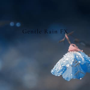 Gentle Rain FX - Gentle Rain Makers