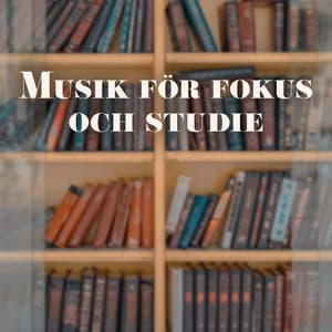 Musik för fokus och studie - Mindfulness meditation världen