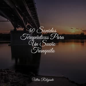 40 Sonidos Terapéuticos Para Un Sueño Tranquilo - Meditação Yoga