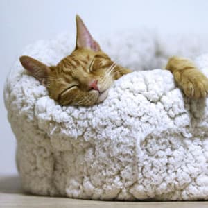 Healing Waves for Restful Sleep - White Noise Baby Sleep