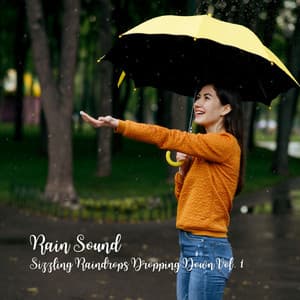 Rain Sound: Sizzling Raindrops Dropping Down Vol. 1 - Rain Sounds ACE