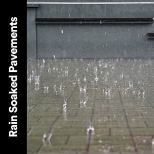 Rain Soaked Pavements - Rain Meditations
