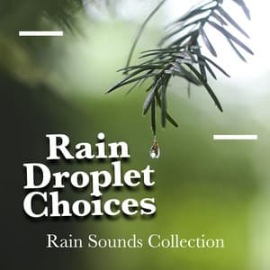 Rain Droplet Choices - Rain Sounds Collection
