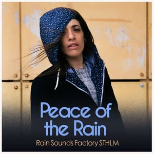 Peace of the Rain - Rain Sounds Factory STHLM