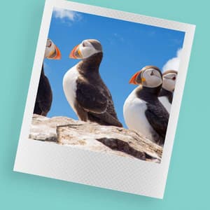 Jazz Guitar - Background for Mental Recharging - Música Alegre para Cafe