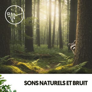 Sons Naturels et Bruit : Ondes Naturelles - lofi.dealer