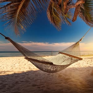 Música Atemporal: Sonidos Para Cada Momento - Vividora