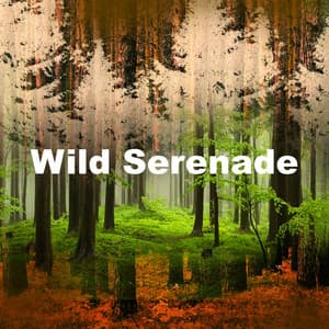 Wild Serenade - Forest Sounds For Relaxation