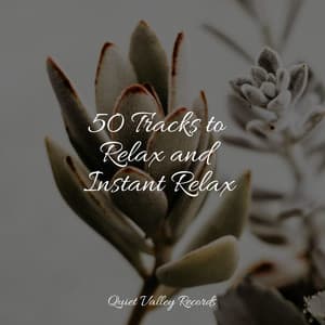 50 Tracks to Relax and Instant Relax - Rain Sounds Rain