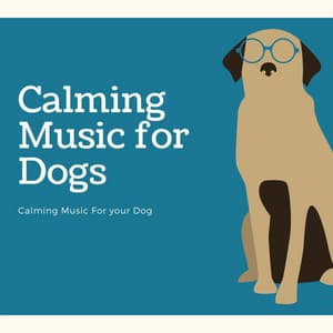 Calming Music for Your Dog - Calming Music for Dogs