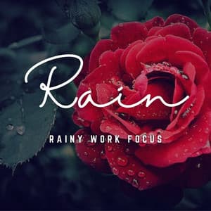 Rainy Work Focus: Nature's Productivity Symphony - Sounds Of Nature