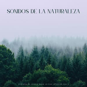 Sonidos De La Naturaleza: Sonidos De Lluvia Para La Paz Interior Vol.2 - Ejemplo de biblioteca de lluvia