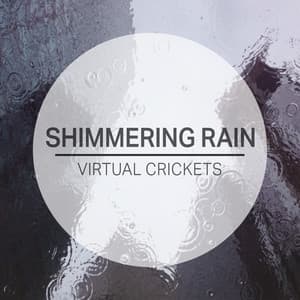 Shimmering Rain - Virtual Crickets