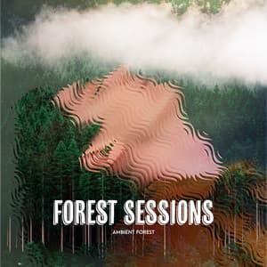Forest Sessions - Ambient Forest