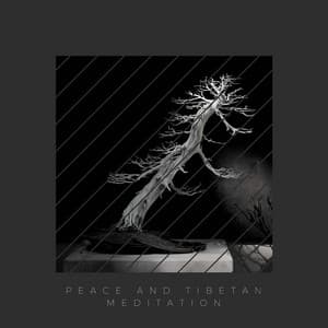 Peace and Tibetan Meditation - Podbe