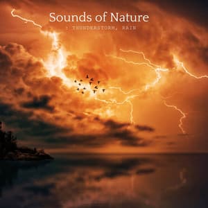 Storming Thunder Wave - Sounds Of Nature : Thunderstorm, Rain