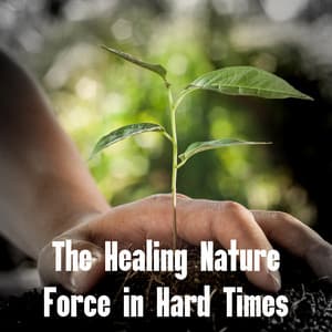 The Healing Nature Force in Hard Times - Natural Soothing Melodies
