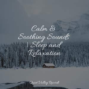 Calm & Soothing Sounds | Sleep and Relaxation - Echoes Of Nature