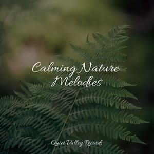 Calming Nature Melodies - Chakra Balancing Sound Therapy