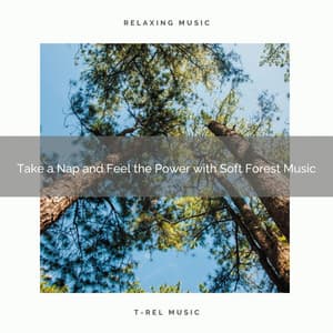 2021 New: Take a Nap and Feel the Power with Soft Forest Music - Sleep Sound Library