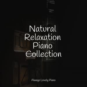 Total Mood Melodies | Relaxation - Peaceful Piano Chillout