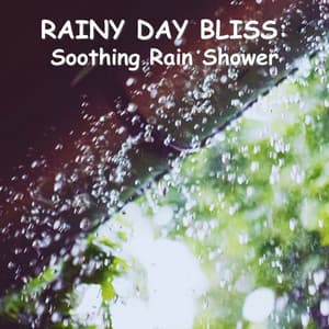 Rainy Day Bliss: Soothing Rain Shower - thankful for the rain