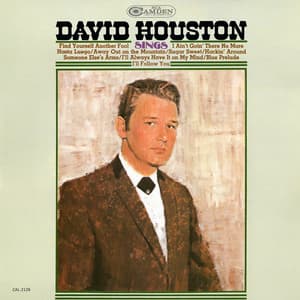 Sings - David Houston
