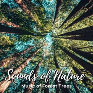 Sounds of Nature: Music of Forest Trees - Forest FX