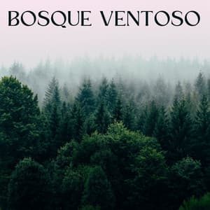 Bosque Ventoso - Musica del bosque