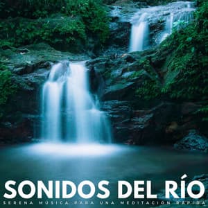 Sonidos Del Río: Serena Música Para Una Meditación Rápida - Sonido de Cascada