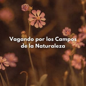 Vagando Por Los Campos De La Naturaleza - Registradores de campo natural